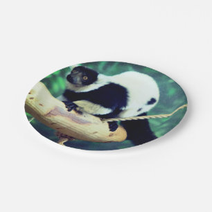 Plato De Papel Lemur