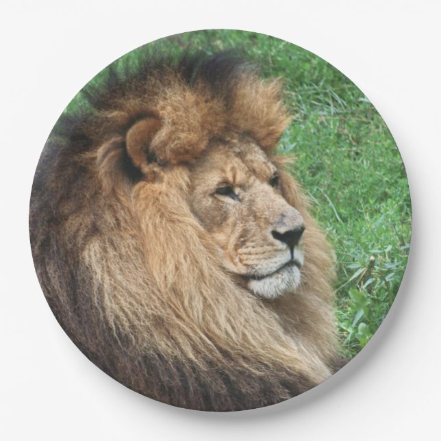 Plato De Papel León 001 (Anverso)