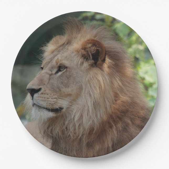 Plato De Papel León 035 (Anverso)