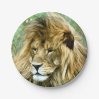 León africano