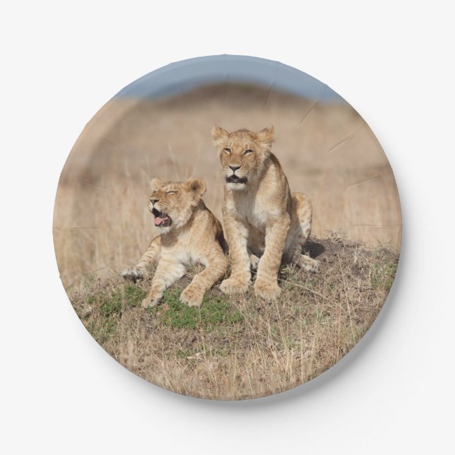 Plato De Papel Leones jóvenes (Anverso)
