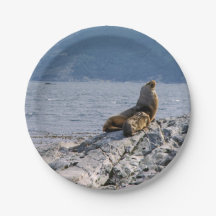 Leones marinos en el canal de Beagle - Argentina
