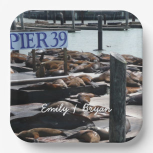 Plato De Papel Leones marinos Pier 39