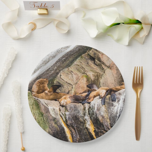 Plato De Papel Leones Marinos Sobre Las Rocas (Boda)