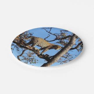 Plato De Papel Leopardo en un árbol en África