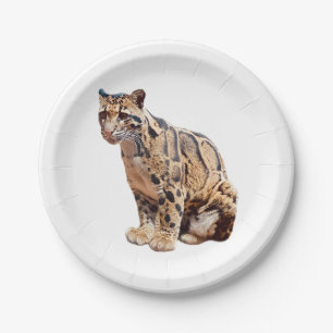 Plato De Papel leopardo nublado fotografía selva gran gato animal