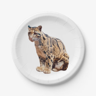 Plato De Papel leopardo nublado fotografía selva gran gato animal