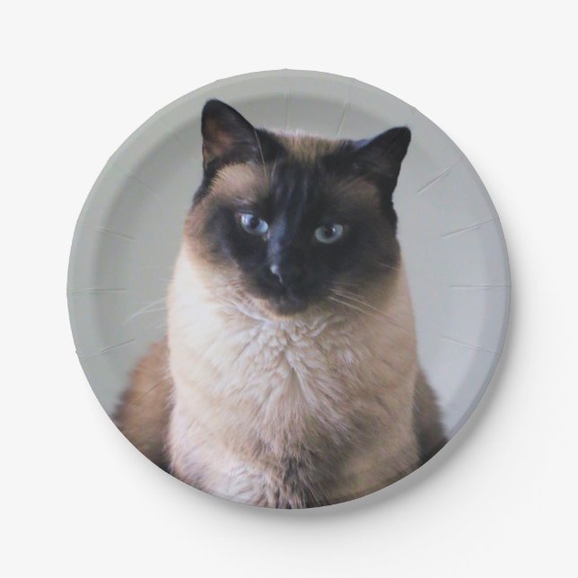 Plato De Papel Lily (Anverso)