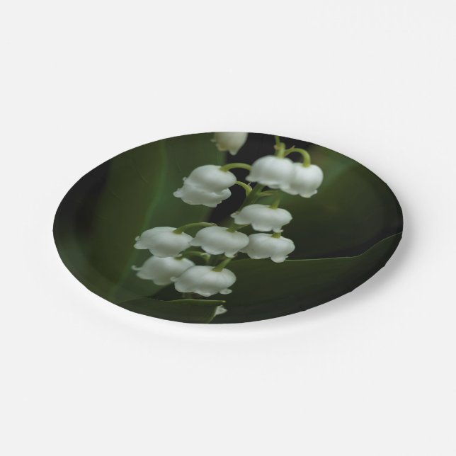 Plato De Papel Lily del Valle-0308 (Angular)