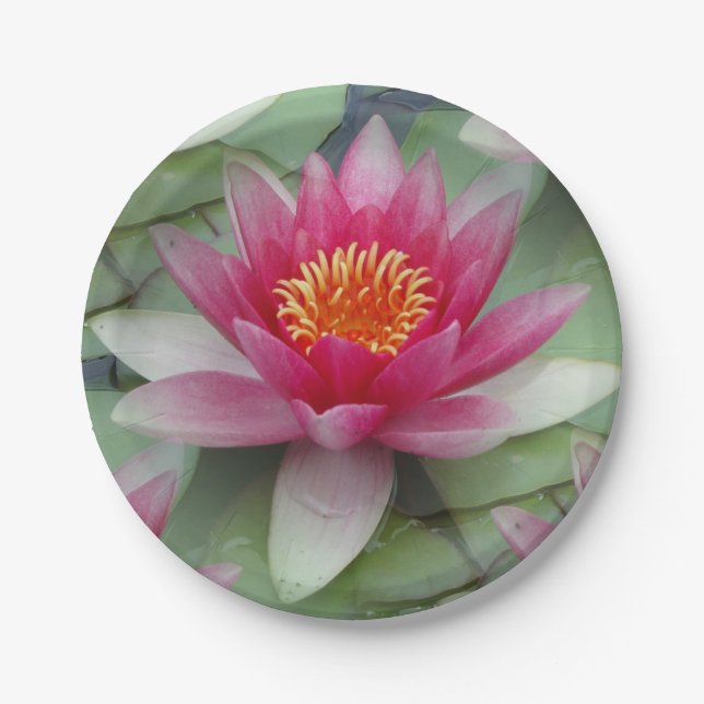 Plato De Papel Lirio de agua rosa Lotus (Anverso)