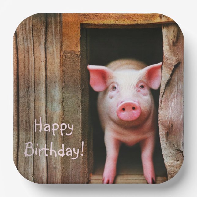 Plato De Papel Little Piggy Happy Birday (Anverso)