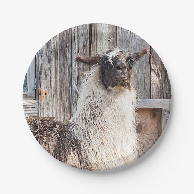 Plato De Papel Llama delante de un granero (Anverso)