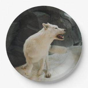 Plato De Papel Lobo blanco