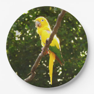 Plato De Papel Loro amarillo