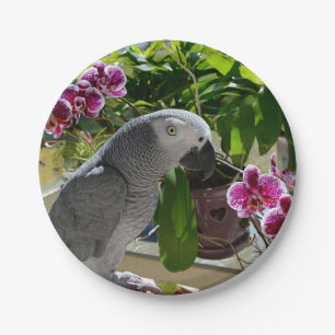 Plato De Papel Loro gris africano con orquídeas