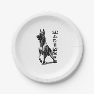 Plato De Papel Los Malinois belgas son los mejores 