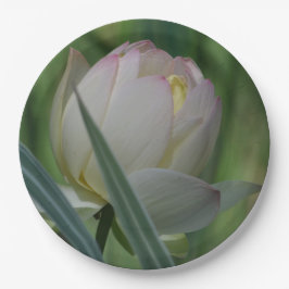 Plato De Papel Lotus Blossom