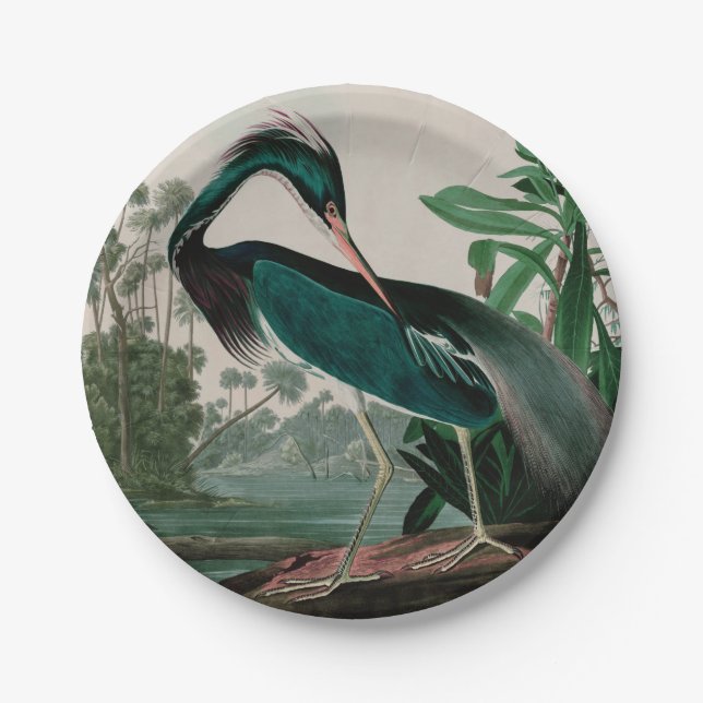 Plato De Papel Louisiana Heron Birds of America Audubon Print (Anverso)