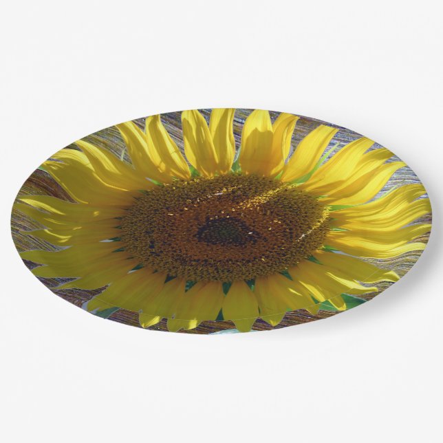 Plato De Papel Love Sunflower Paper Plate (Angular)