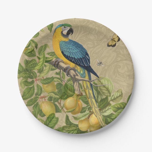 Plato De Papel Macaw Blue Yellow Tropical Jungle Antigüedad (Anverso)