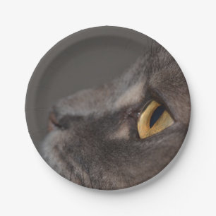 Plato De Papel Macro-ojo de gato por Shirley Taylor