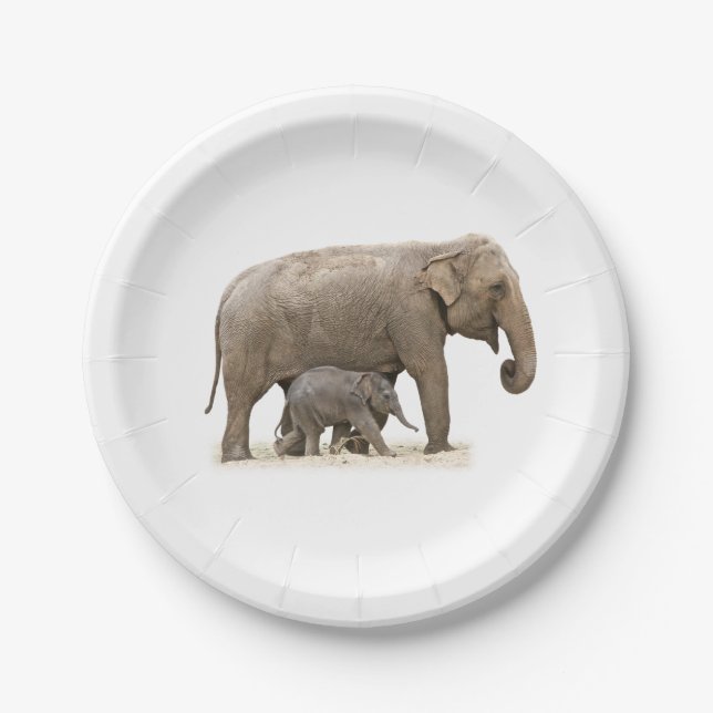 Plato De Papel Madre e hijo elefante (Anverso)