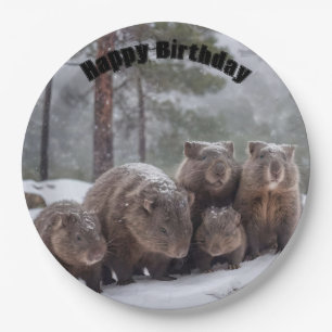 Plato De Papel Madriguera congelada: familia de wombats australia