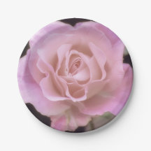 Magnífica Rosa Rosa