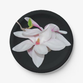 Plato De Papel Magnolia blanca