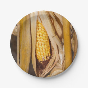 Plato De Papel Maíz Cobb en tallo