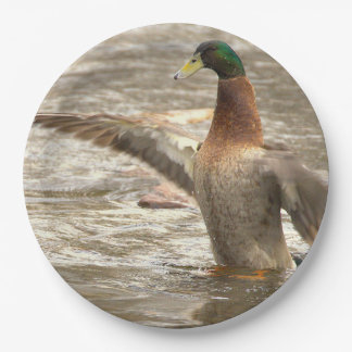 Plato De Papel Mallard Duck Paper Plates