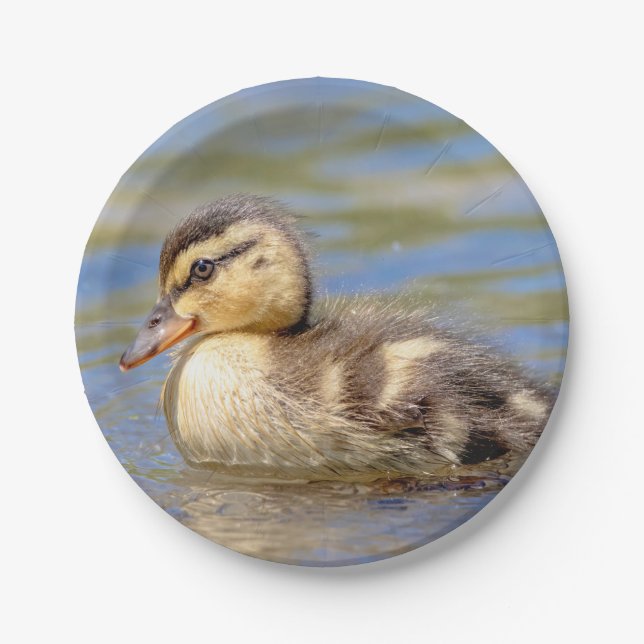 Plato De Papel Mallard Duckling (Anverso)