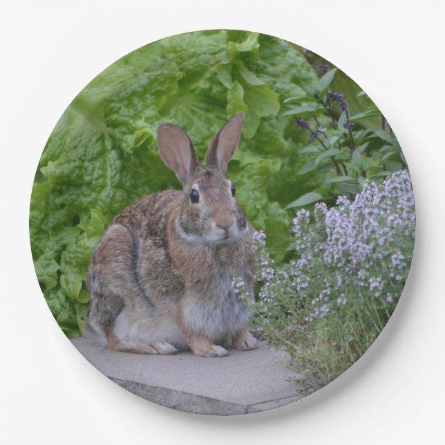 Plato De Papel Mama Bunny (Anverso)