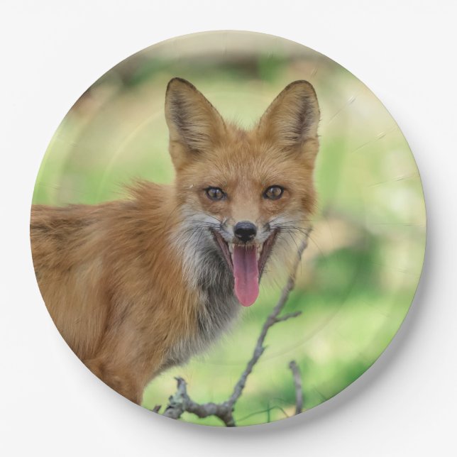 Plato De Papel Mama Fox en el Valle de Hudson (Anverso)