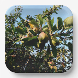 Plato De Papel Manzanas