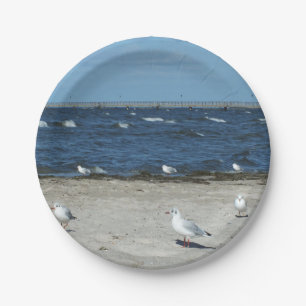Plato De Papel mar, agua, gaviota, ave, viaje, azul, cielo,