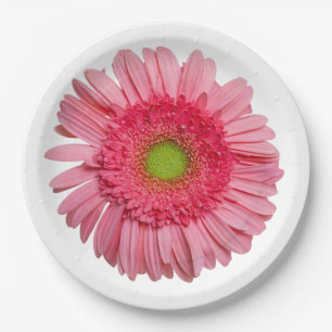 Plato De Papel Margarita rosada del Gerbera