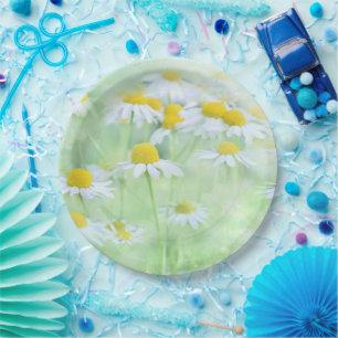 Plato De Papel Margaritas Bonitas en un Campo