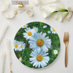 Plato De Papel Margaritas de Placa de Papel