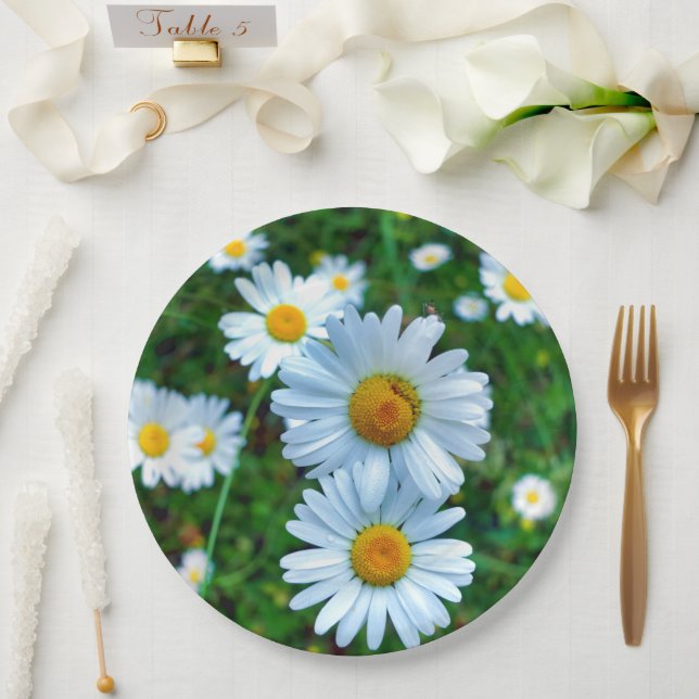 Plato De Papel Margaritas de Placa de Papel (Boda)