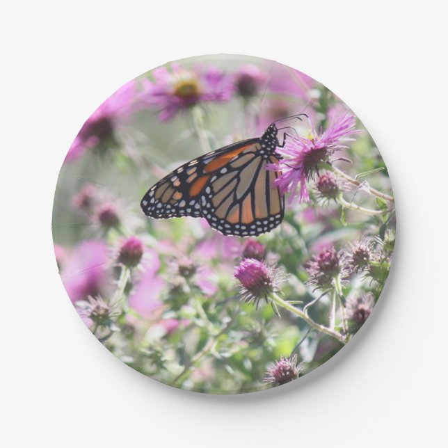 Plato De Papel Mariposa (Anverso)