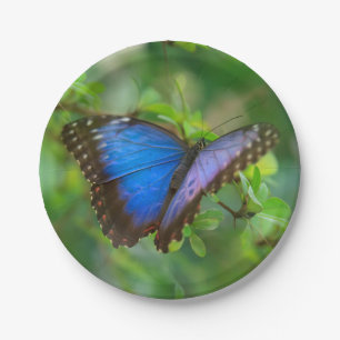 Plato De Papel Mariposa azul