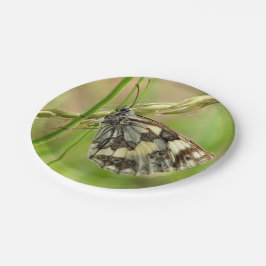 Plato De Papel Mariposa blanca desangrada en la hierba