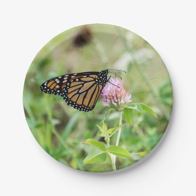 Plato De Papel Mariposa de monarca (Anverso)