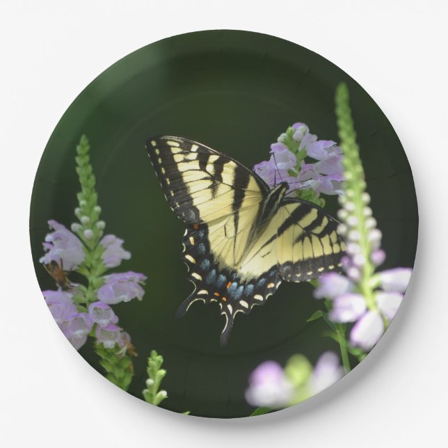 Plato De Papel Mariposa En El Jardín (Anverso)