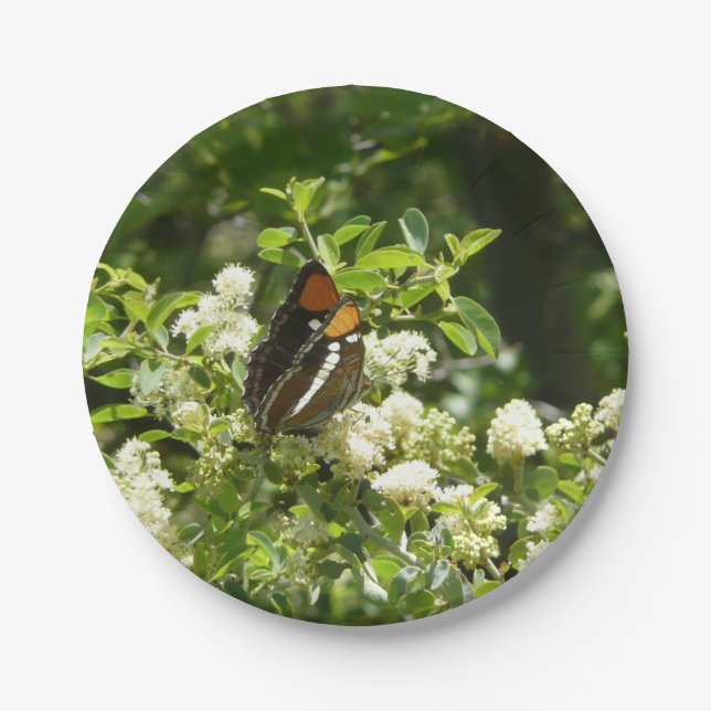 Plato De Papel Mariposa Hermana de California en Yosemite (Anverso)