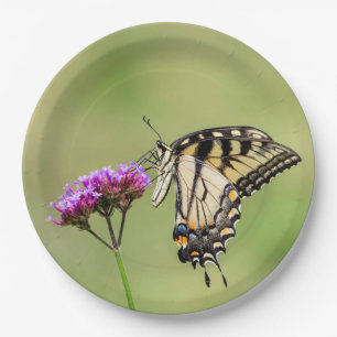 Plato De Papel Mariposa Swallowtail del Tigre del Este