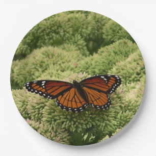 Plato De Papel Mariposa Virrey Fotografía Hermosa de la Naturalez