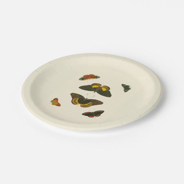 Plato De Papel Mariposas brillantes de Pieter Cramer (Angular)