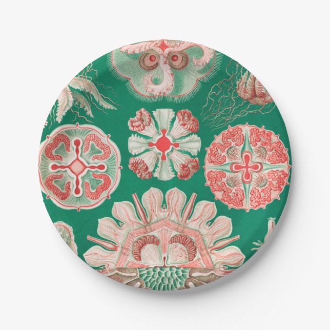 Plato De Papel Marisco, Discomedusae de Ernst Haeckel (Anverso)